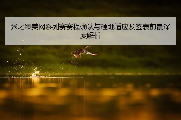 张之臻美网系列赛赛程确认与硬地适应及签表前景深度解析